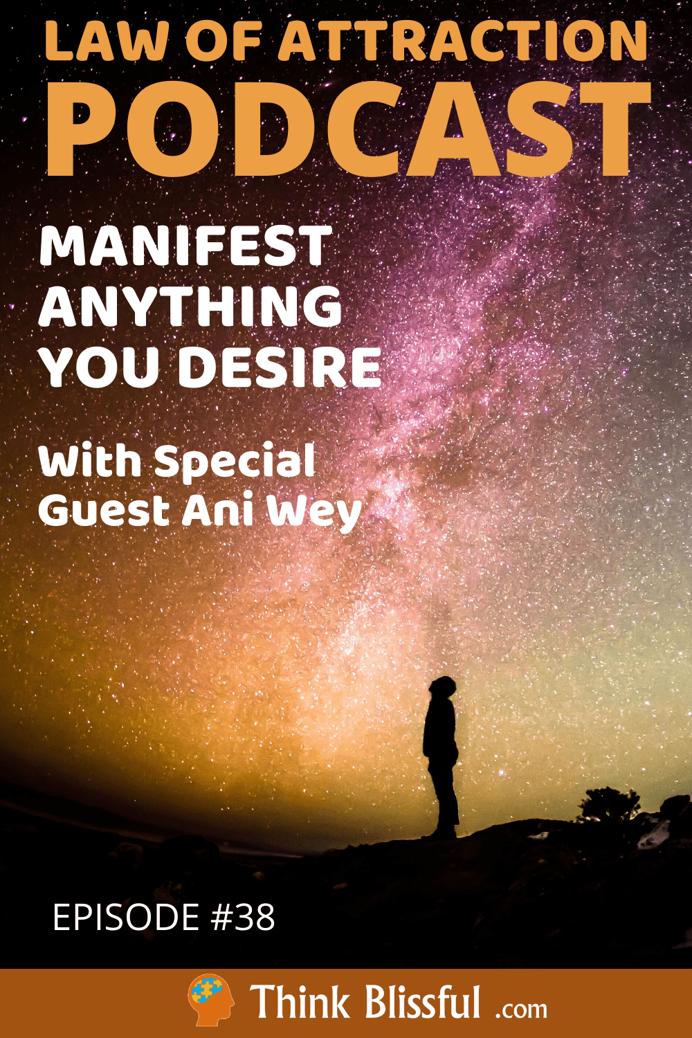 The Law Of Attraction With Special Guest Ani Wey